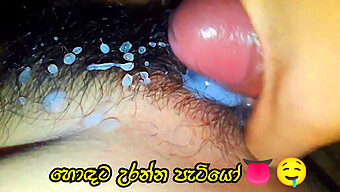 Une Femme À Grosse Bite Baise Une Chatte Poilue Dans Une Vidéo Porno De Sinhala