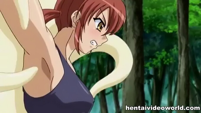 Söta anime-tjejer i en het hentai-video